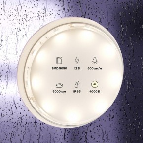 Лента светодиодная Maytoni Led strip 10124 в Режи - rezh.ok-mebel.com | фото 2