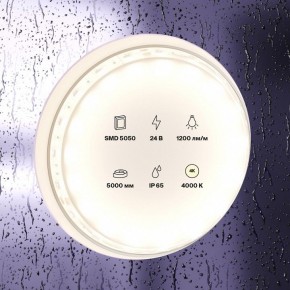 Лента светодиодная Maytoni Led strip 10172 в Режи - rezh.ok-mebel.com | фото 2