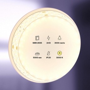 Лента светодиодная Maytoni Led strip 20031 в Режи - rezh.ok-mebel.com | фото 2