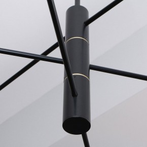 Люстра на штанге Favourite Imma 4375-6P в Режи - rezh.ok-mebel.com | фото 2
