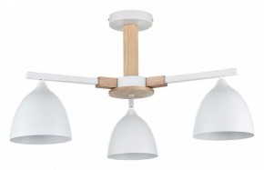 Люстра на штанге Lumion Colange 8095/3C в Режи - rezh.ok-mebel.com | фото