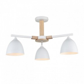 Люстра на штанге Lumion Colange 8095/3C в Режи - rezh.ok-mebel.com | фото 2