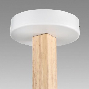 Люстра на штанге Lumion Colange 8095/3C в Режи - rezh.ok-mebel.com | фото 9