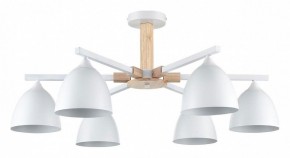 Люстра на штанге Lumion Colange 8095/6C в Режи - rezh.ok-mebel.com | фото