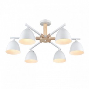 Люстра на штанге Lumion Colange 8095/6C в Режи - rezh.ok-mebel.com | фото 3