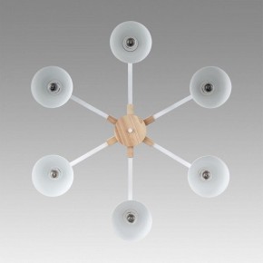 Люстра на штанге Lumion Colange 8095/6C в Режи - rezh.ok-mebel.com | фото 4