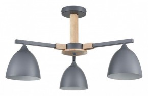 Люстра на штанге Lumion Colange 8096/3C в Режи - rezh.ok-mebel.com | фото
