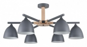 Люстра на штанге Lumion Colange 8096/6C в Режи - rezh.ok-mebel.com | фото