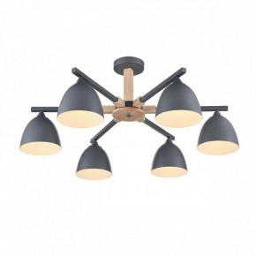 Люстра на штанге Lumion Colange 8096/6C в Режи - rezh.ok-mebel.com | фото 3