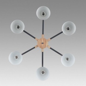 Люстра на штанге Lumion Colange 8096/6C в Режи - rezh.ok-mebel.com | фото 4