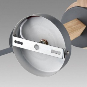 Люстра на штанге Lumion Colange 8096/6C в Режи - rezh.ok-mebel.com | фото 6