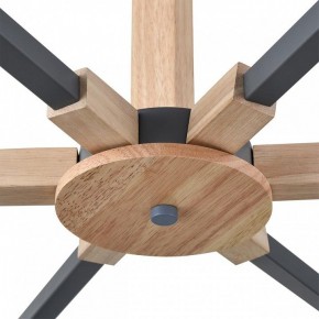 Люстра на штанге Lumion Colange 8096/6C в Режи - rezh.ok-mebel.com | фото 7