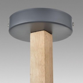 Люстра на штанге Lumion Colange 8096/6C в Режи - rezh.ok-mebel.com | фото 9