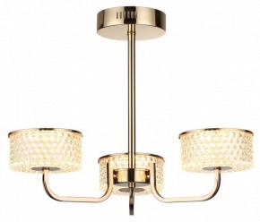 Люстра на штанге Lumion Venice 6579/40CL в Режи - rezh.ok-mebel.com | фото 5