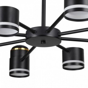 Люстра на штанге Lumion Virsava 8234/8C в Режи - rezh.ok-mebel.com | фото 10