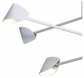 Люстра на штанге Mantra Capuccina 7570 в Режи - rezh.ok-mebel.com | фото 4