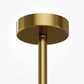 Люстра на штанге Maytoni Museo MOD436PL-05BS в Режи - rezh.ok-mebel.com | фото 6