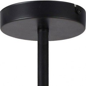 Люстра на штанге TopLight Jemimah TL1216D-08BL в Режи - rezh.ok-mebel.com | фото 5
