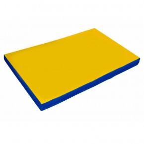 Мат гимнастический, прямоугольный. Длина 2 м, ширина 1 м, толщина 8 см синий-желтый   в Режи - rezh.ok-mebel.com | фото