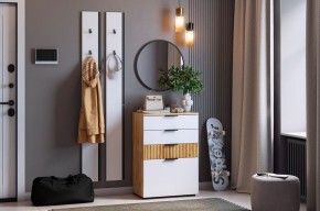 МЕБЕЛЬСОН К21 Прихожая (белое дерево) в Режи - rezh.ok-mebel.com | фото