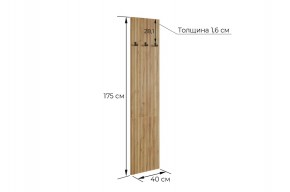 МЕБЕЛЬСОН К7 Прихожая в Режи - rezh.ok-mebel.com | фото 4