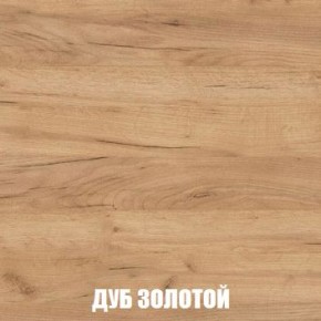 МСП-1 Шкаф 2-х створчатый (Дуб Золотой/Камень темный) в Режи - rezh.ok-mebel.com | фото 4
