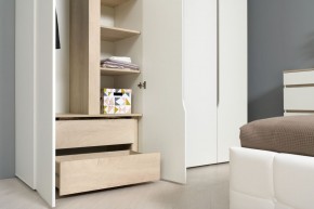 Муссон Шкаф двухстворчатый 13.198 в Режи - rezh.ok-mebel.com | фото 3