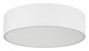 Накладной светильник Arlight TOR PILL 022103(3) в Режи - rezh.ok-mebel.com | фото