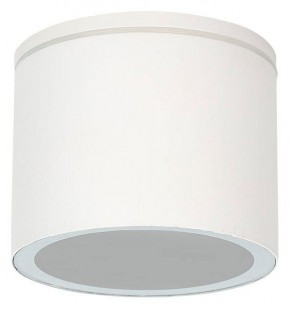 Накладной светильник Arte Lamp Piautos A1913PF-1WH в Режи - rezh.ok-mebel.com | фото