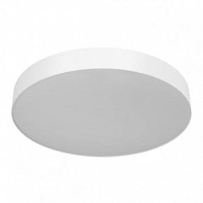 Накладной светильник Citilux BART CL755490 в Режи - rezh.ok-mebel.com | фото
