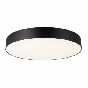 Накладной светильник Citilux BART CL755491 в Режи - rezh.ok-mebel.com | фото 2