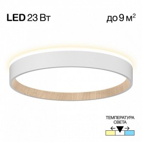 Накладной светильник Citilux Etalon CL750240 в Режи - rezh.ok-mebel.com | фото 2