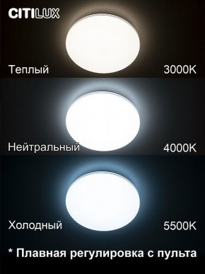 Накладной светильник Citilux Симпла CL714330G в Режи - rezh.ok-mebel.com | фото 4