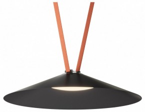Накладной светильник Denkirs Belty Flow DK5569-BK в Режи - rezh.ok-mebel.com | фото 2