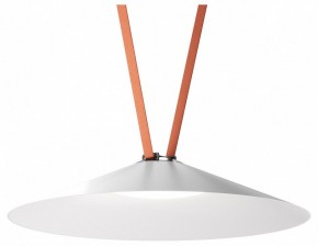 Накладной светильник Denkirs Belty Flow DK5668-WH+BK в Режи - rezh.ok-mebel.com | фото 2