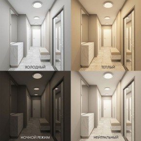 Накладной светильник Denkirs Cany DK6516-WH в Режи - rezh.ok-mebel.com | фото 2