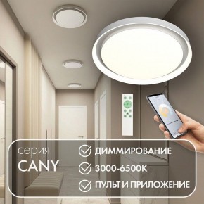 Накладной светильник Denkirs Cany DK6516-WH в Режи - rezh.ok-mebel.com | фото 4