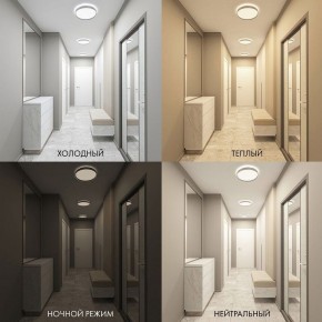 Накладной светильник Denkirs PLATO DK6510-WH в Режи - rezh.ok-mebel.com | фото 2