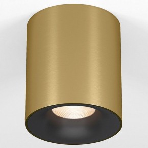 Накладной светильник Elektrostandard Primo 25116/LED в Режи - rezh.ok-mebel.com | фото