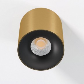 Накладной светильник Elektrostandard Primo 25116/LED в Режи - rezh.ok-mebel.com | фото