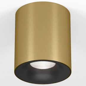 Накладной светильник Elektrostandard Primo 25116/LED в Режи - rezh.ok-mebel.com | фото 2