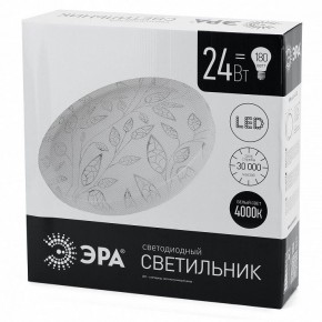 Накладной светильник Эра Классик SPB-6-24-4K (C) в Режи - rezh.ok-mebel.com | фото 4