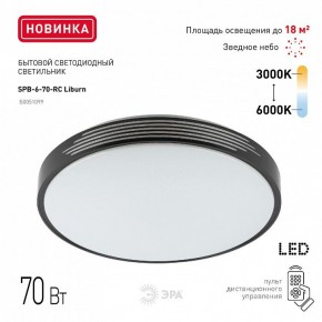 Накладной светильник Эра Классик SPB-6-70-RC Liburn в Режи - rezh.ok-mebel.com | фото 10