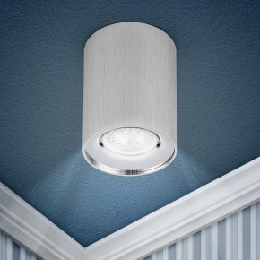 Накладной светильник Эра  OL1 GU10 SL/CH в Режи - rezh.ok-mebel.com | фото 3