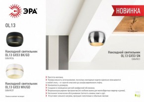 Накладной светильник Эра OL13 GX53 SN Б0049031 в Режи - rezh.ok-mebel.com | фото 5