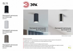 Накладной светильник Эра OL15 GU10 BK Б0049040 в Режи - rezh.ok-mebel.com | фото 5