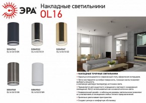 Накладной светильник Эра OL16 GU10 BK Б0049042 в Режи - rezh.ok-mebel.com | фото 3