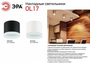 Накладной светильник Эра OL17 GX53 WH Б0049044 в Режи - rezh.ok-mebel.com | фото 5