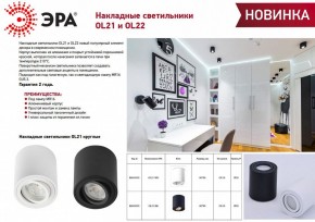 Накладной светильник Эра OL21 BK Б0054393 в Режи - rezh.ok-mebel.com | фото 2