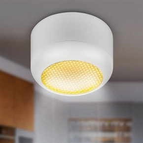 Накладной светильник Эра  OL56 WH в Режи - rezh.ok-mebel.com | фото 8